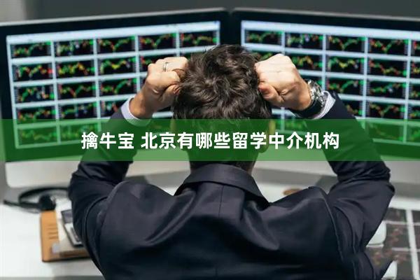 擒牛宝 北京有哪些留学中介机构