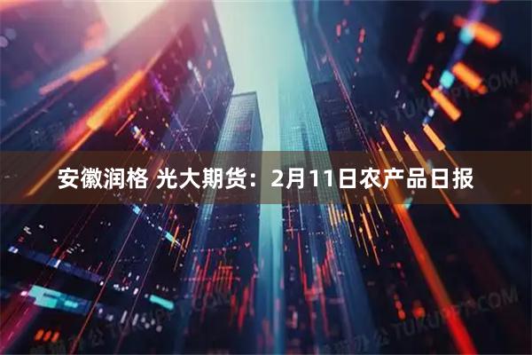 安徽润格 光大期货：2月11日农产品日报