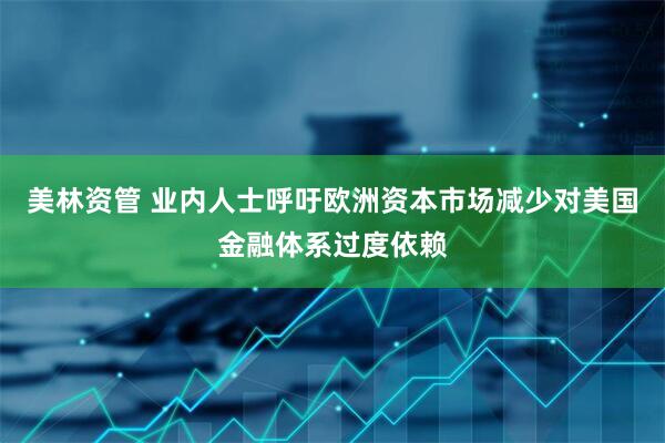 美林资管 业内人士呼吁欧洲资本市场减少对美国金融体系过度依赖