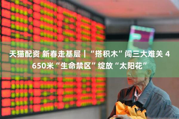 天猫配资 新春走基层｜“搭积木”闯三大难关 4650米“生命禁区”绽放“太阳花”