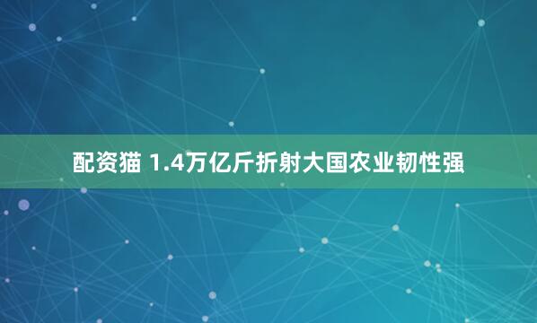 配资猫 1.4万亿斤折射大国农业韧性强