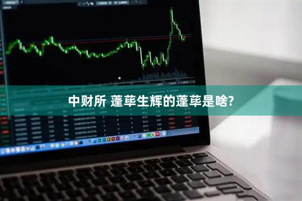 中财所 蓬荜生辉的蓬荜是啥?